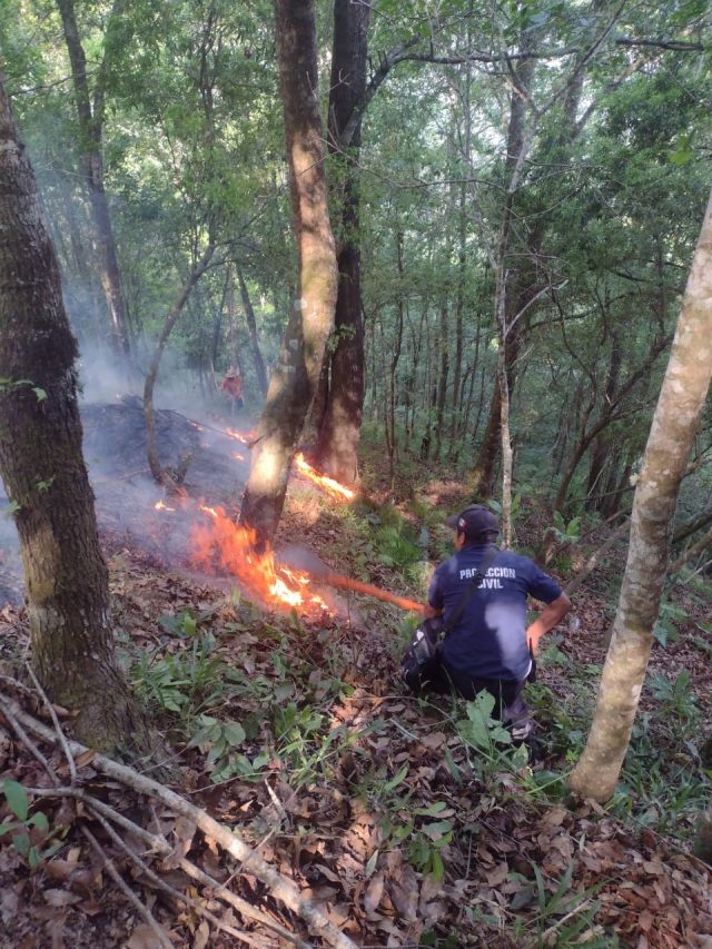 02_abril_2024_segobh_incendios-en-tlanchinol_001-1.jpg