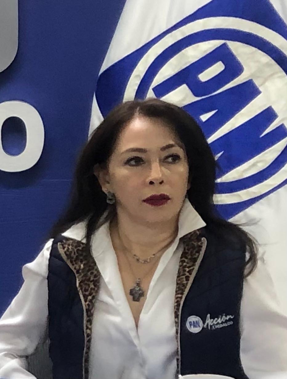 Rechaza PAN reforma de paridad en gubernatura y acusa simulación legislativa