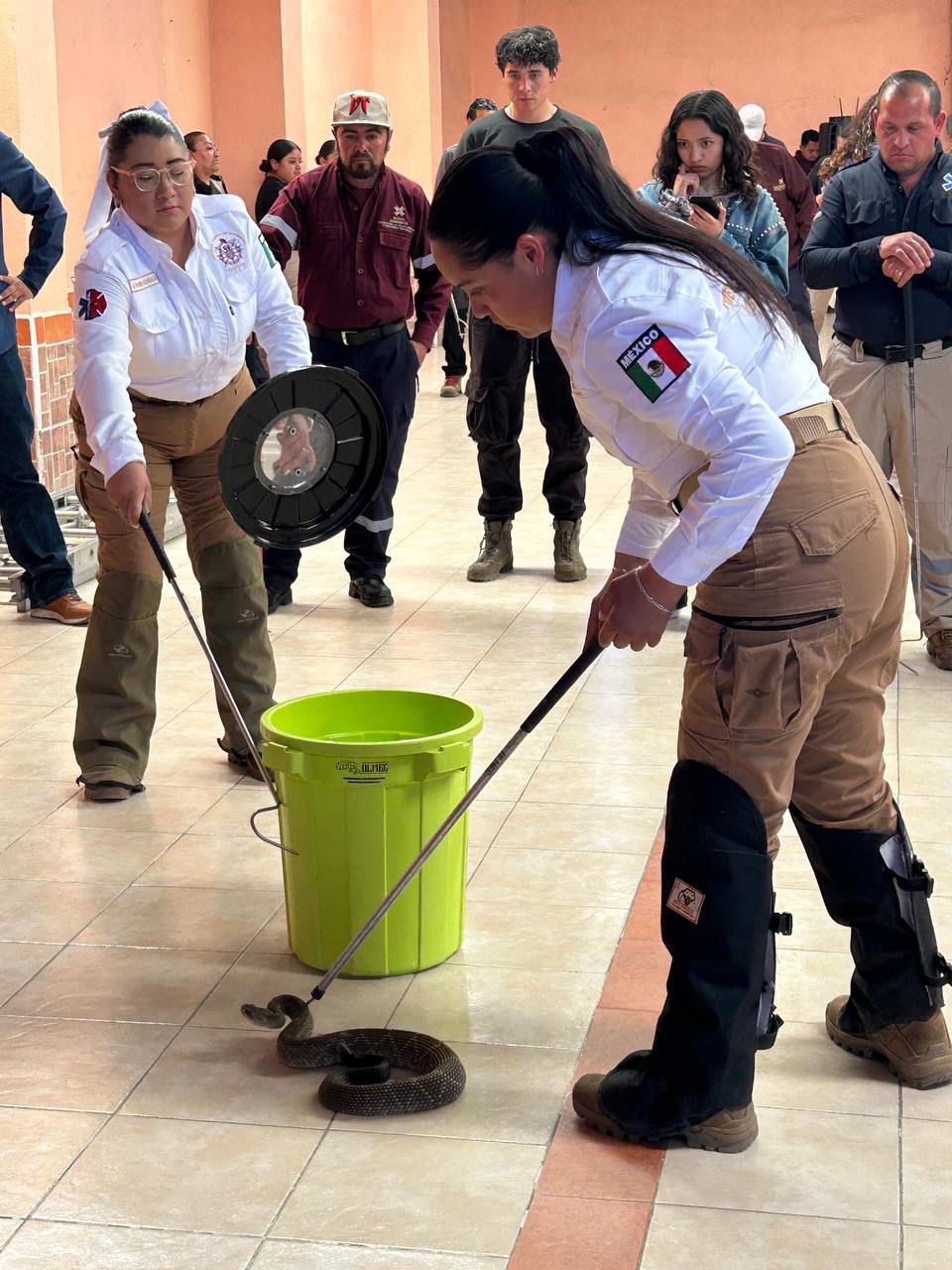 Refuerzan respuesta ante ataques de serpientes