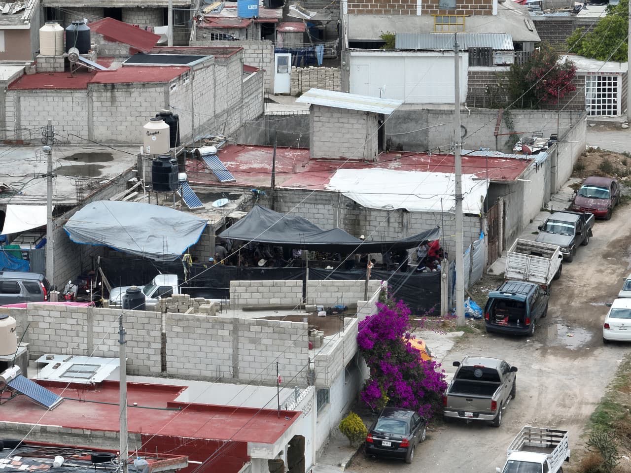 DESMANTELAN PELEA DE GALLOS CLANDESTINA; HAY 37 DETENIDOS EN PACHUCA