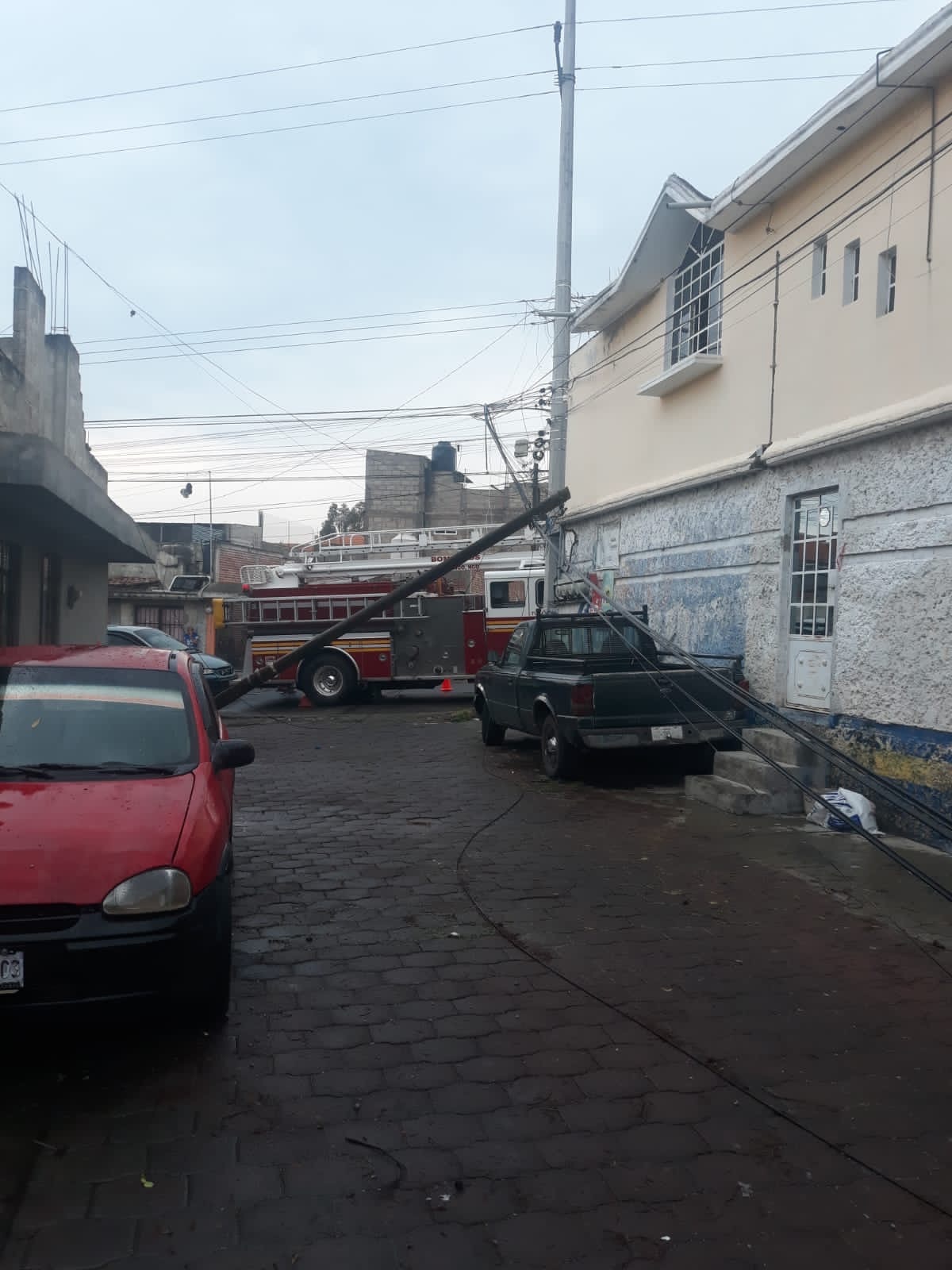 Lluvias dejan caída de árboles y afectaciones en Tulancingo