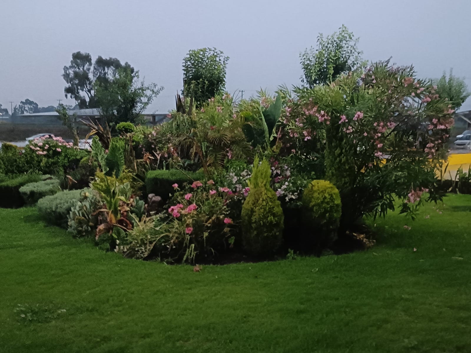 Tulancingo impulsa modelo de compostaje para fortalecer áreas verdes urbanas