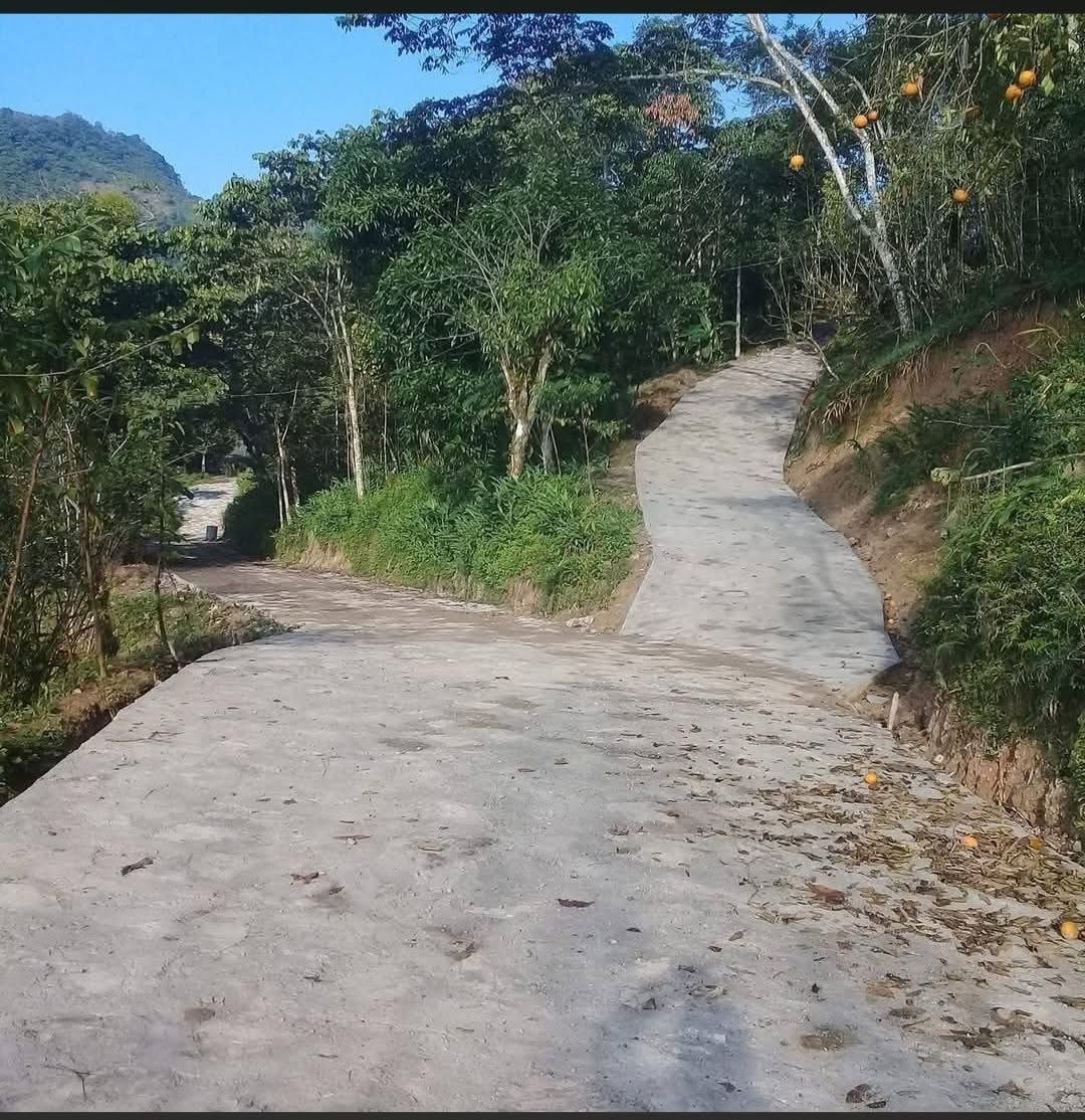 Vecinos de Arroyo Seco acusan abandono tras daños en camino vecinal