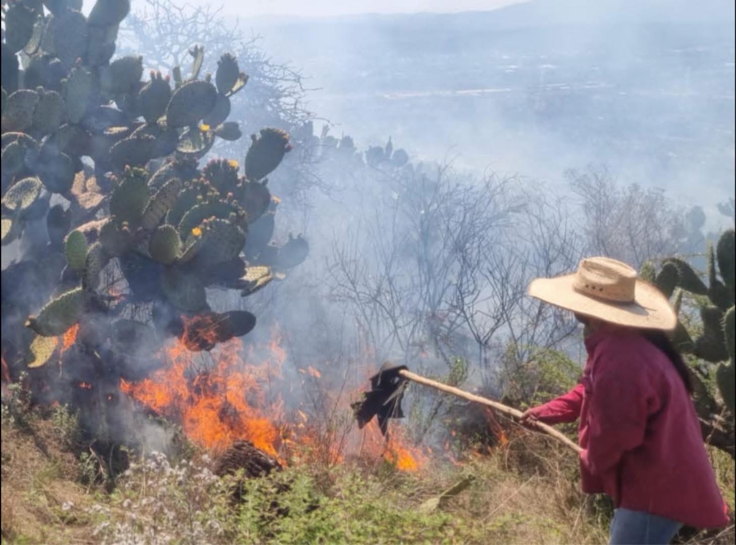 Moviliza incendio forestal en Tula y El Arenal