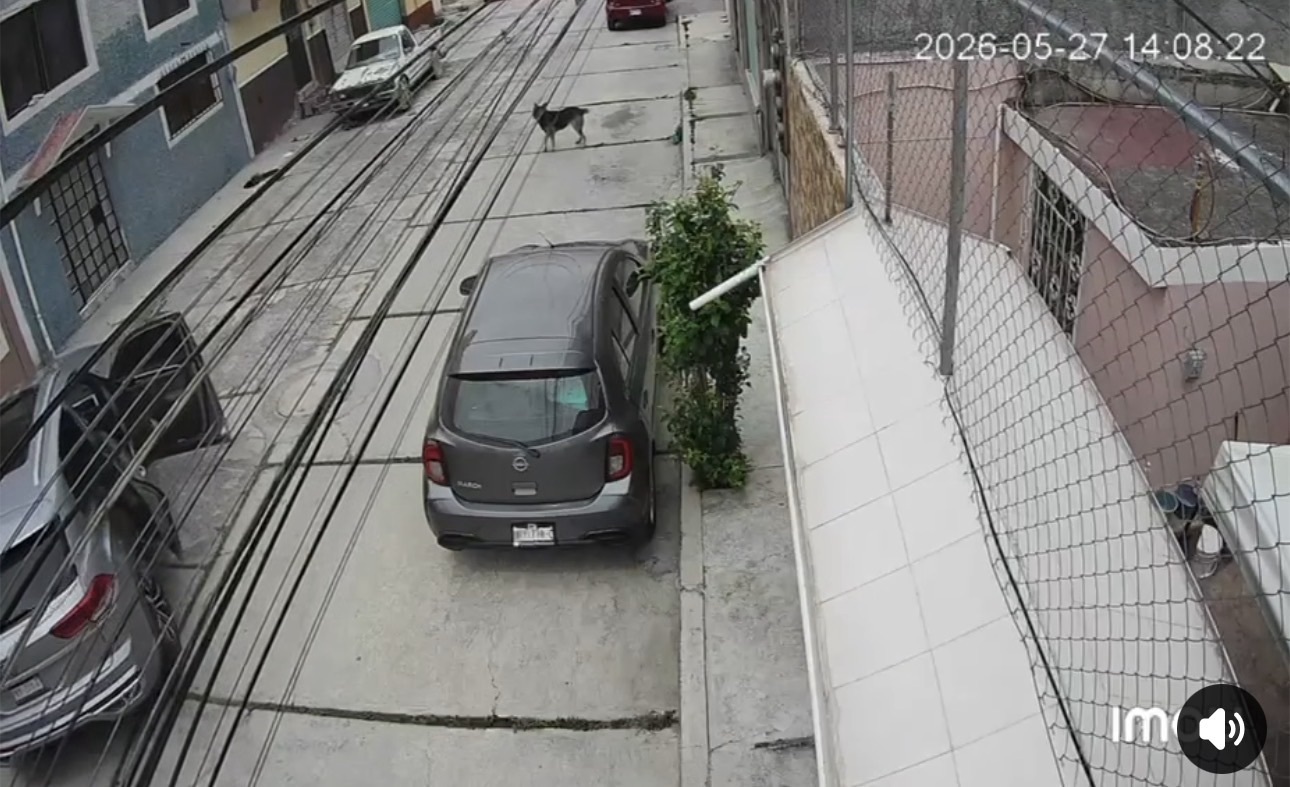 Operativo relámpago permite liberar a joven secuestrada y capturar a tres presuntos plagiarios