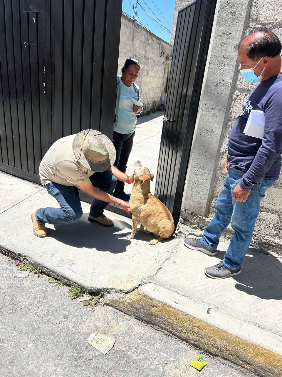 Refuerzan vigilancia en Zapotlán ante riesgo por gusano barrenador