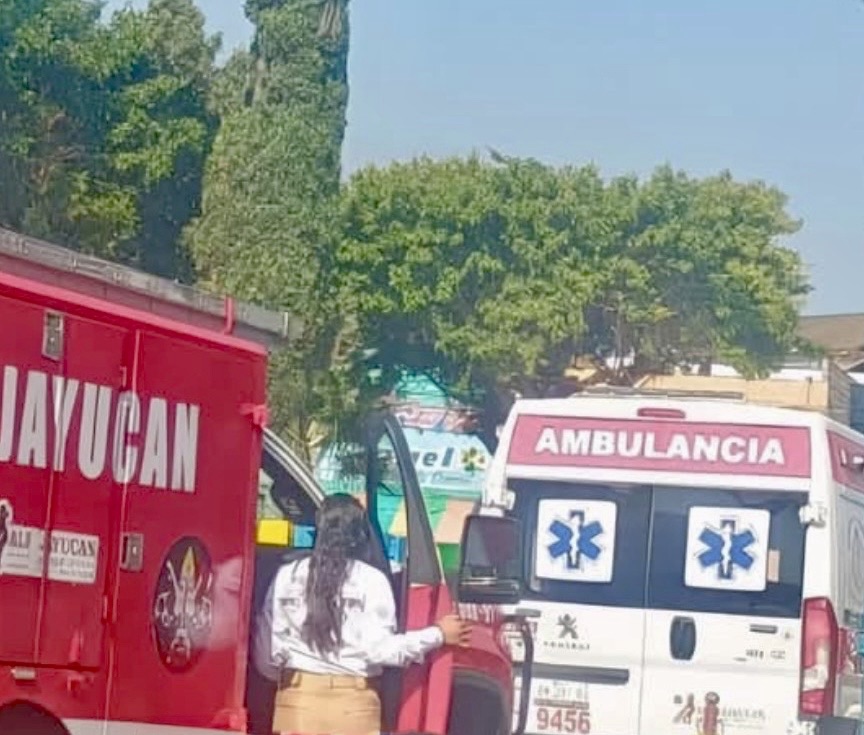 Enjambre de abejas provoca emergencia en primaria de Alfajayucan; 29 alumnos reciben atención médica