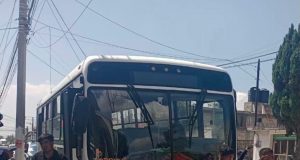 Zapotlán reforzará acciones de protección animal y seguridad vial tras incidente en Acayuca