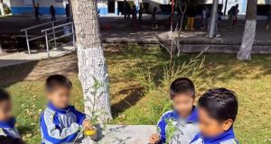 Niños cultivan la flor que guiará a las ánimas